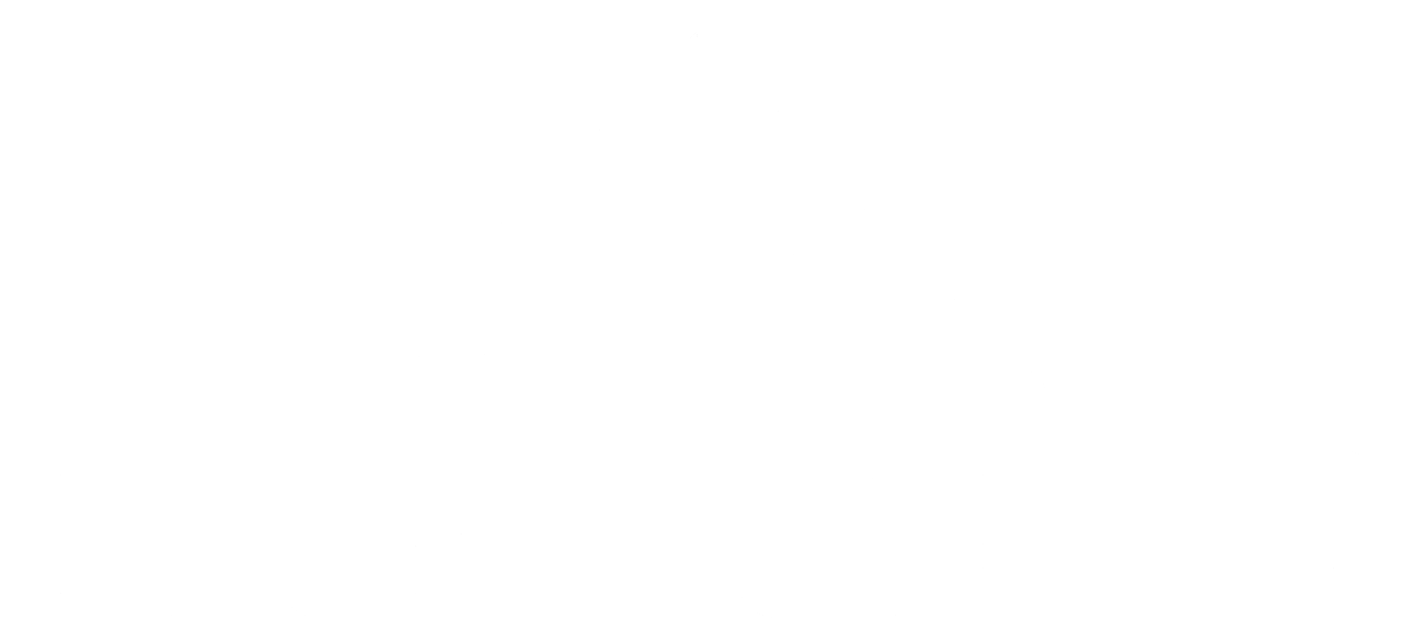 Digitopia